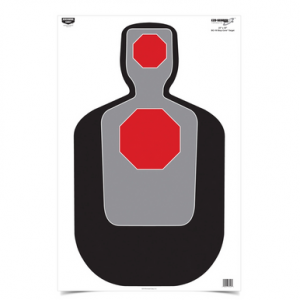 Eze-Scorer 23 x 35 BC-19 Stop Core 100 Targets