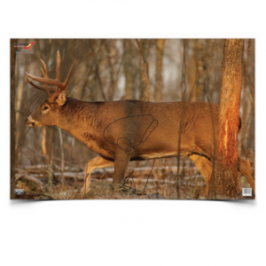 Bc Eze-scorer Deer 23x35 2pk (12)