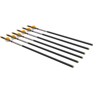 Ravin R500 Series Arrows .001 6 pk.