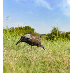 Flextone Thunder Chick Feeding Hen Decoy