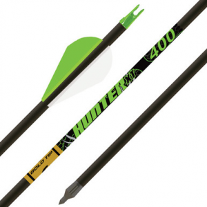 Gold Tip Hunter XT Arrows 300 Raptor Vanes 6 pk.