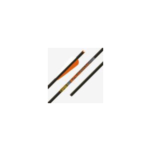 Gold Tip Ballistic Crossbow Bolts 20 in. 4 in. Vanes 6 pk.