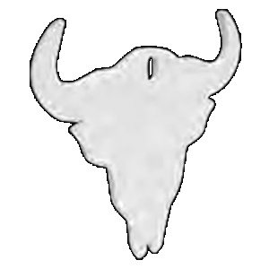 Birchwood Casey BC-47719 Centerfire Silhouette Skull 3/8" AR500 Steel Target