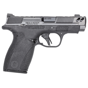 Sw Pc Bodyguard 2.0 Nts Carry 380acp 3.1 10/12r