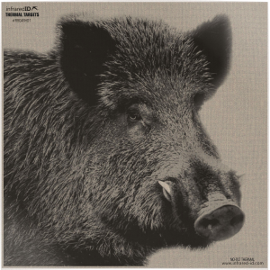 Infrared-ID Thermal Boar Head Target