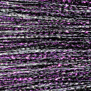 MFC Kreelex Fish Flash Blend Purple/Black/Silver