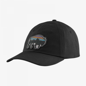 Image of Patagonia Back for Good Trad Cap Black with Bison