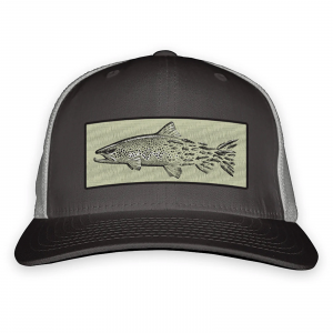 Image of RepYourWater Brown Snacks Standard Fit Hat