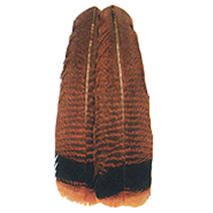 Image of Wapsi Ozark Turkey Tail Cinnamon Tip