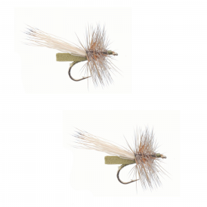 Image of Umpqua Puterbaugh Foam Caddis Olive 2 Pack 14