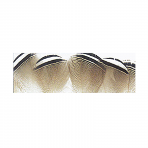 Image of Wapsi Wood Duck Feathers Black & White