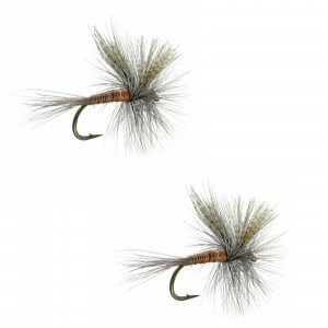 Umpqua Red Quill 2 Pack 12