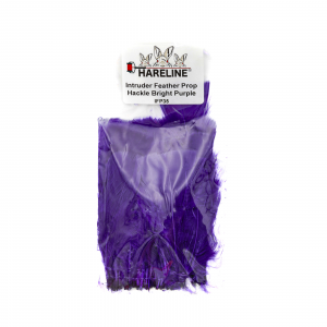 Image of Hareline Intruder Feather Prop Hackle #35 Bright Purple
