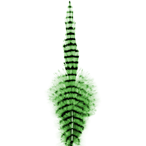 Image of MFC Barred Saddle Hackle Chartreuse Black