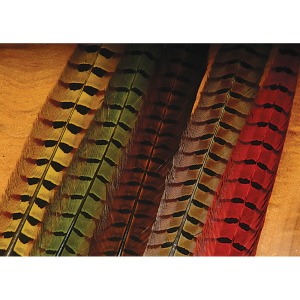 Image of Hareline Ringneck Pheasant Tail Feathers Orange