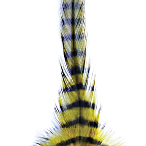 Image of MFC Barred Saddle Hackle Olive/Black