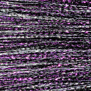 Image of MFC Kreelex Fish Flash Blend Purple Black Silver