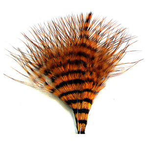 Image of MFC Mini Barred Marabou Orange Brown