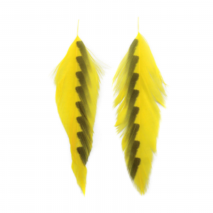 Image of MFC Galloup's Shark Fin Fish Feathers Yellow/Olive