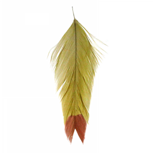 MFC Galloup's Fin Tip Fish Feathers Olive/Red