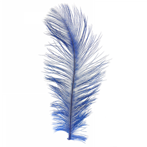 Image of MFC Ostrich Plume Blue