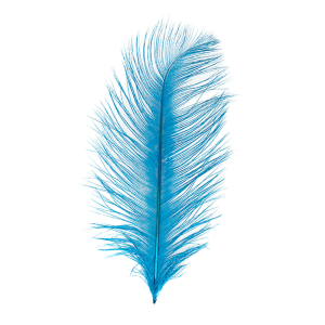 Image of MFC Ostrich Plume Kingfisher Blue