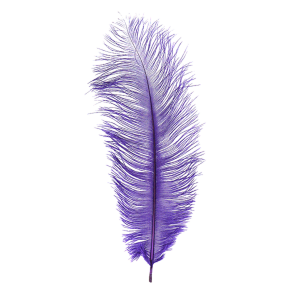 Image of MFC Ostrich Plume Purple