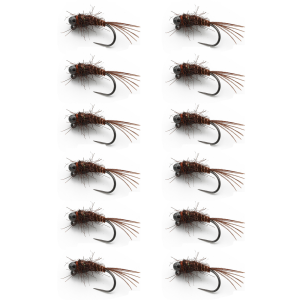 Image of RIO Morrish Pugsly 10 PT 12 Pack