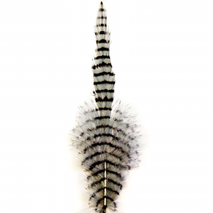 Image of MFC Barred Saddle Hackle Grey/Black