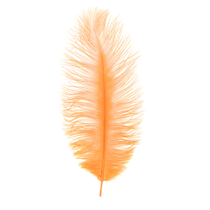 Image of MFC Ostrich Plume Orange
