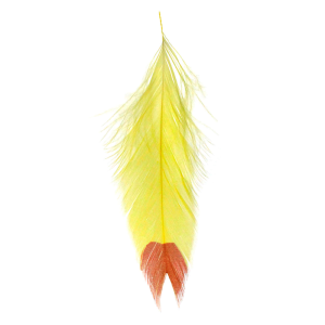 Image of MFC Galloup's Fin Tip Fish Feathers Yellow Red
