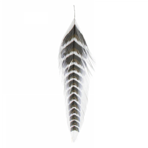 Image of MFC Galloup's Grizzled Fish Feathers Brown/Black