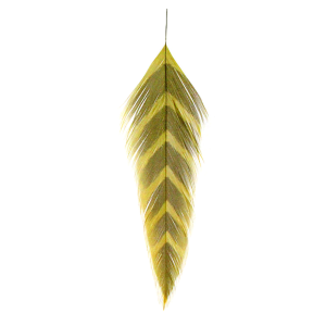 Image of MFC Galloup's Arrowhead Fish Feathers Olive Brown