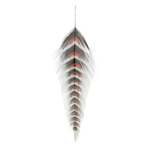 Image of MFC Galloup's Grizzled Fish Feathers Red/Black