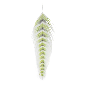 Image of MFC Galloup's Grizzled Fish Feathers Chartreuse Black
