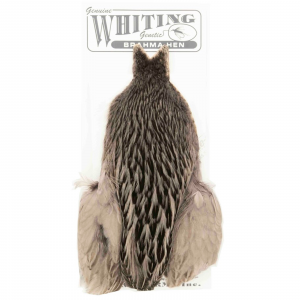 Image of Whiting Farms Brahma Hen Capes Badger dyed Medium Dun