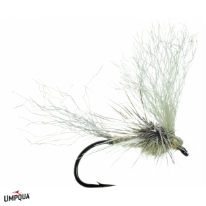 Image of May Day Fly Callibaetis 12