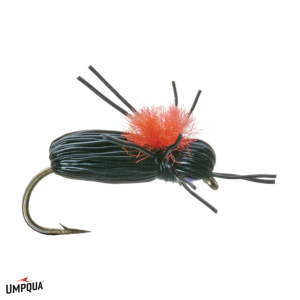 Black Beetle Fly 16