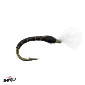 Image of No Mercy Midge Iwane Fly Black 18