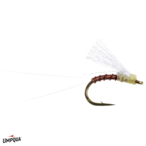 Magic Fly Passage's Fly | PMD 20
