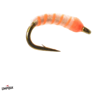 Neon Nightmare Fly | Orange 22