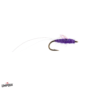 Image of Sparkle Wing RS-2 Fly Purple 22