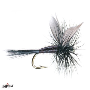 Image of Black Gnat Fly 18