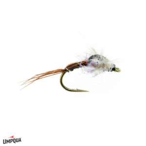 Image of Macgruber Jackson Fly Purple 16