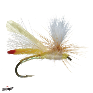 Image of Headlight Fly Yellow 16