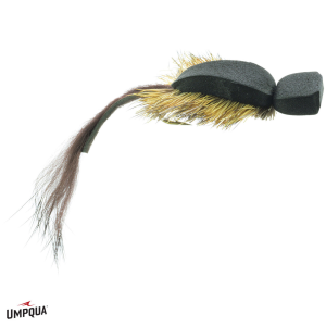 Image of Waking Mouse Fly 6