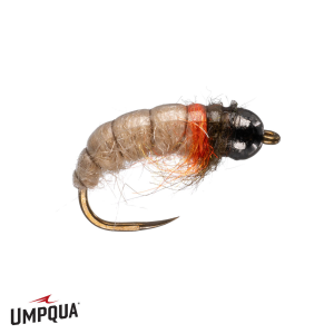 Image of Cz Caddis Tungsten Fly Cream 12