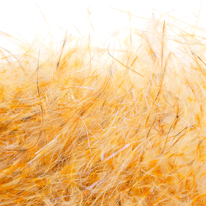 Image of MFC Senyo's Dirty Bird Dubbing Dijon