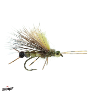 Image of Flushfloater Stone Fly Salmonfly 6