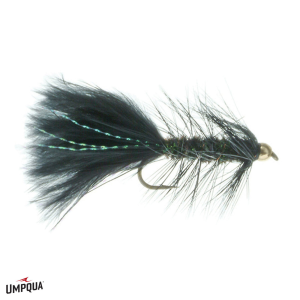 Image of Wooly Bugger Gold Bead Fly Peacock/Grizzly 8